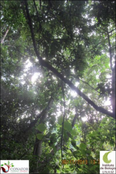 52308_S1_ARC_20131130_012_002.jpg.jpg