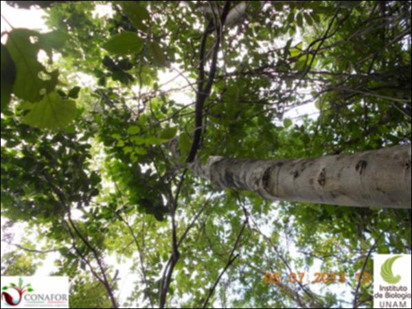 50503_S1_ARC_20130705_004_001.jpg.jpg
