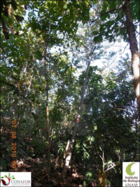 76409_S3_ARC_20130731_011_001.jpg.jpg