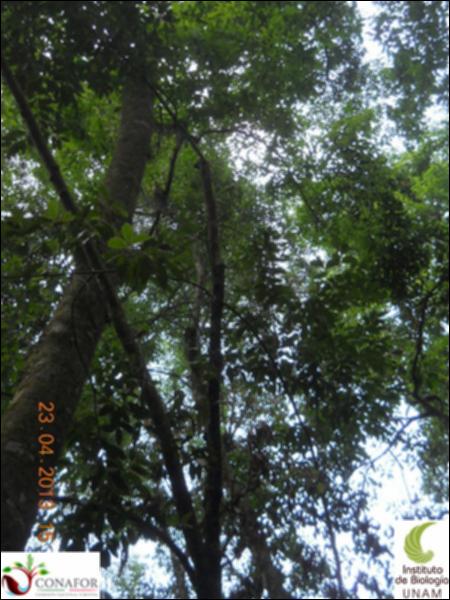 61651_S4_ARC_20130428_003_002.jpg.jpg
