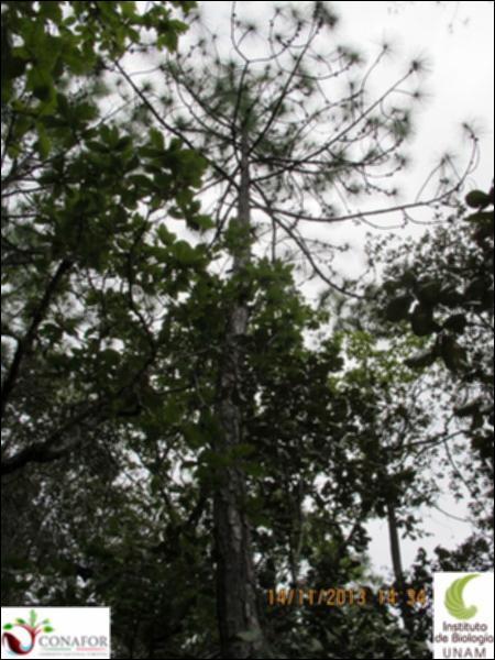 72689_S1_ARC_20131114_007_002.jpg.jpg