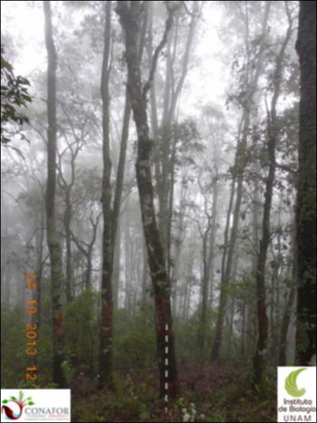 58568_S3_ARC_20131024_045_001.jpg.jpg