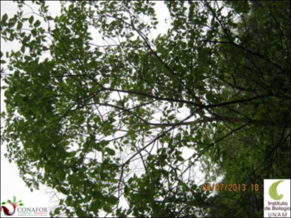 65159_S3_ARC_20130706_021.jpg.jpg