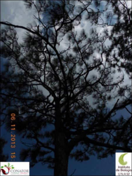 73053_S1_ARC_20131106_001_002.jpg.jpg