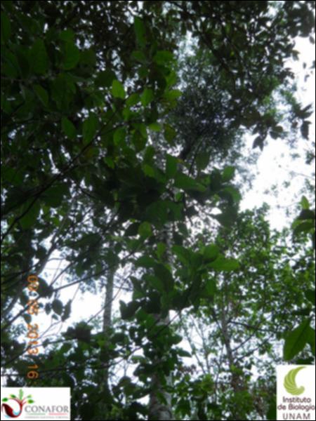 73361_S1_ARC_20130509_010_002.jpg.jpg