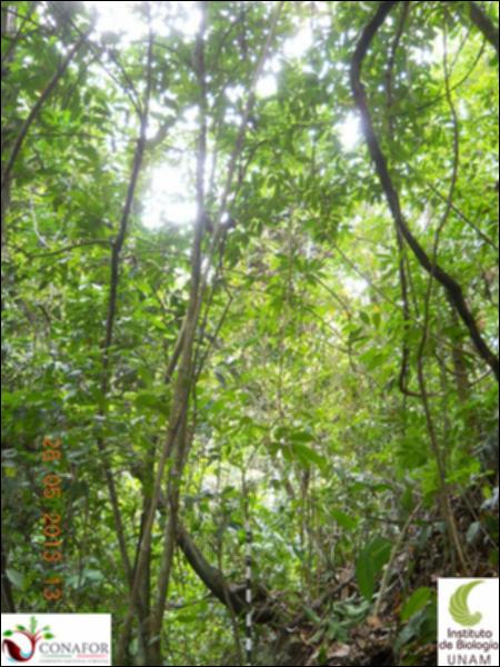 72520_S1_ARC_20130524_013_001.jpg.jpg