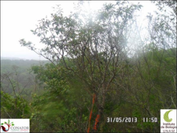 75788_S2_ARC_20130531_014_001.jpg.jpg