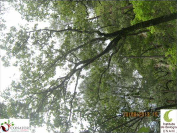 36475_S1_ARC_20130810_001.jpg.jpg
