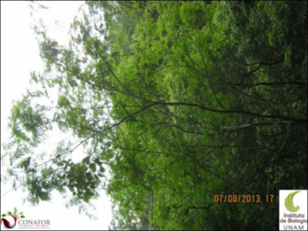 54737_S1_ARC_20130807_007.jpg.jpg