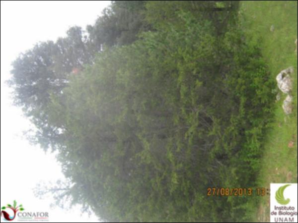 36706_S1_ARC_20130827_003.jpg.jpg