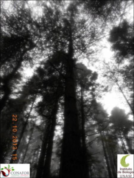62350_S1_ARC_20131022_020_002.jpg.jpg