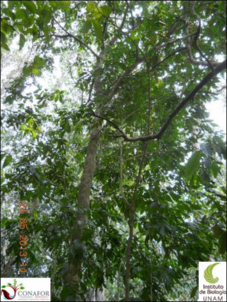 73788_S3_ARC_20130523_008_002.jpg.jpg