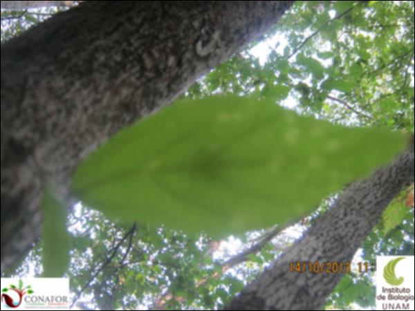48703_S1_HJ2_20131014_005.jpg.jpg