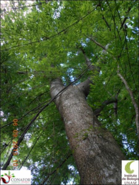 70884_S3_ARC_20130905_006_002.jpg.jpg