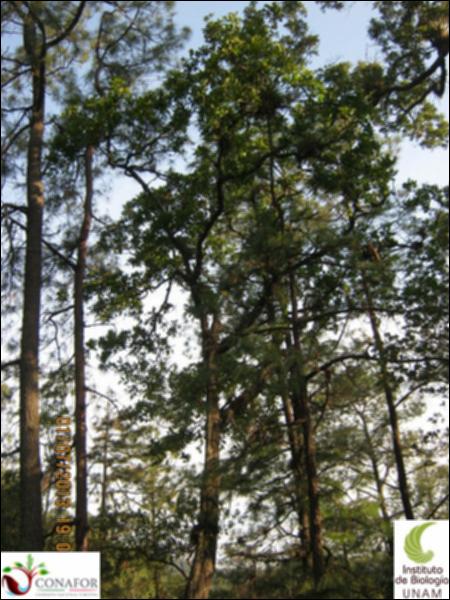 59555_S1_ARC_20130701_004.jpg.jpg