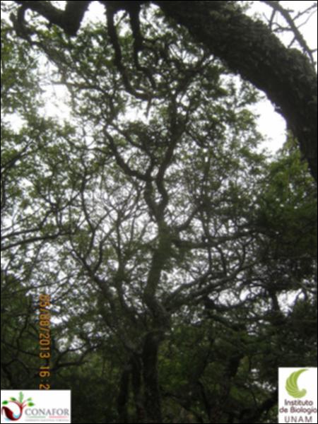 72894_S2_ARC_20130805_015_002.jpg.jpg