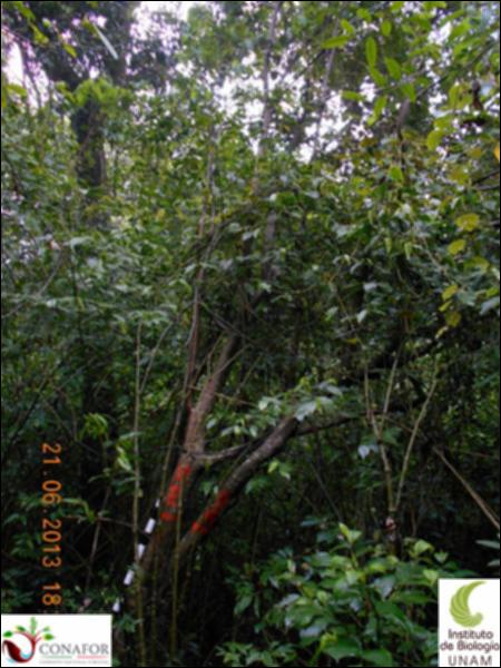 77370_S3_ARC_20130621_021_001.jpg.jpg
