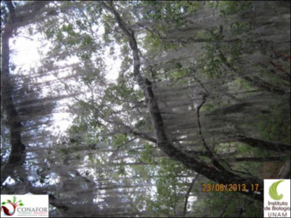 36821_S3_ARC_20130623_006.jpg.jpg