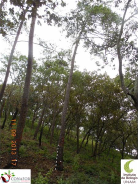 73478_S3_ARC_20130911_013_001.jpg.jpg