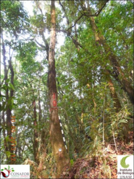 72924_S2_ARC_20130509_010_001.jpg.jpg
