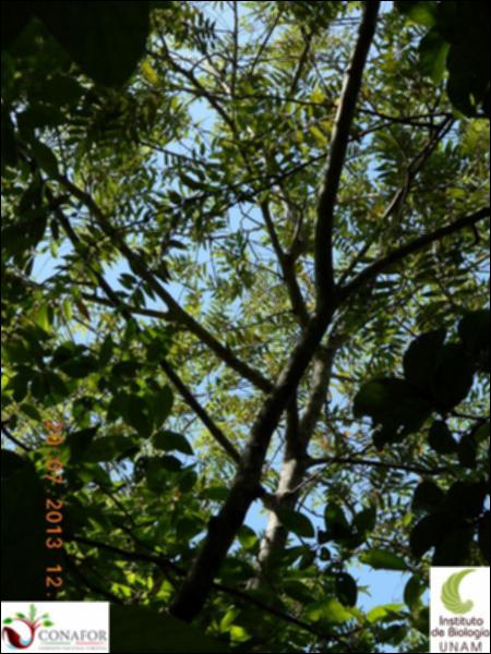 77163_S1_ARC_20130719_017_002.jpg.jpg