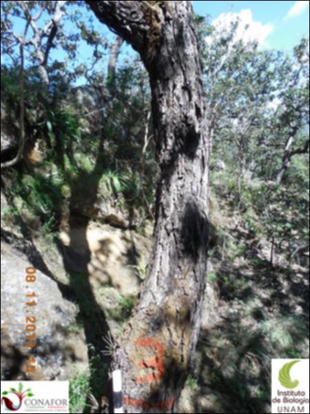 72839_S4_ARC_20131107_003_001.jpg.jpg