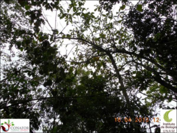 52533_S1_ARC_20130415_013_002.jpg.jpg