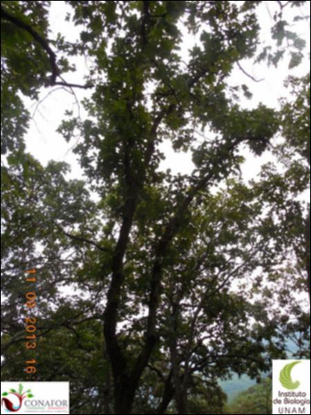 73478_S1_ARC_20130911_001_002.jpg.jpg