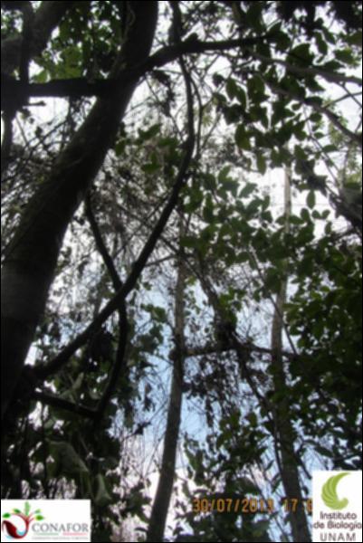 74733_S1_ARC_20130730_001_002.jpg.jpg