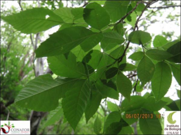 65159_S4_HJ2_20130706_027.jpg.jpg
