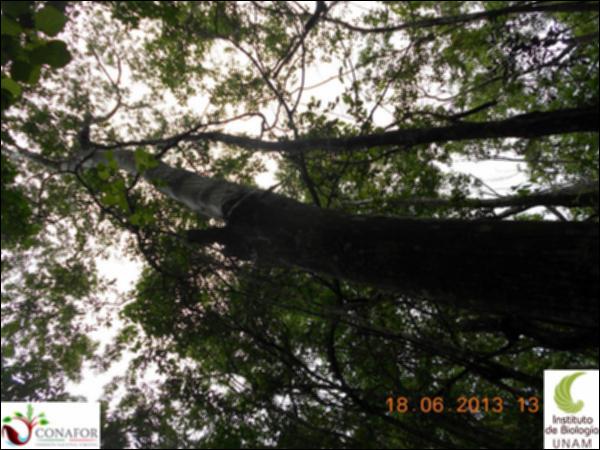 50962_S1_ARC_20130618_014_001.jpg.jpg