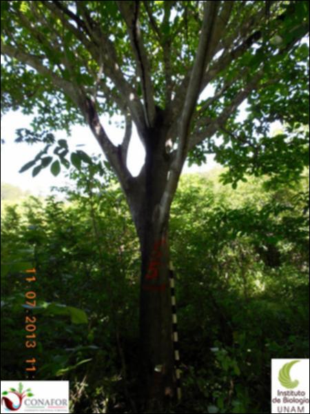 75336_S3_ARC_20130711_031_001.jpg.jpg