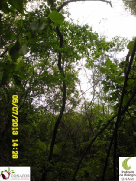 62572_S2_ARC_20130705_010.jpg.jpg