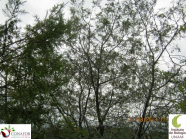 70919_S1_ARC_20130831_001_002.jpg.jpg