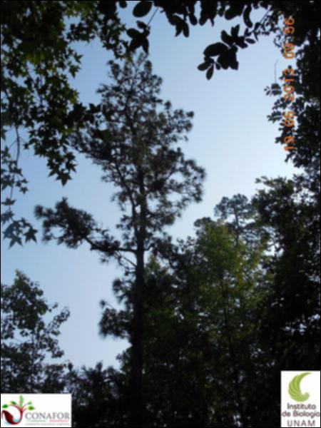 72714_S1_ARC_20130519_029_002.jpg.jpg