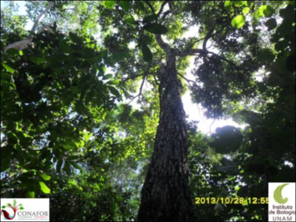57399_S1_ARC_20131028_019_001.jpg.jpg