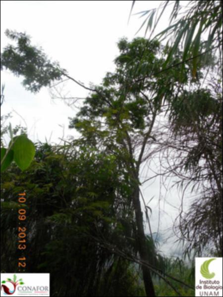 67782_S4_ARC_20130910_004_002.jpg.jpg