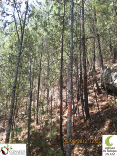 40868_S1_ARC_20130604_022.jpg.jpg