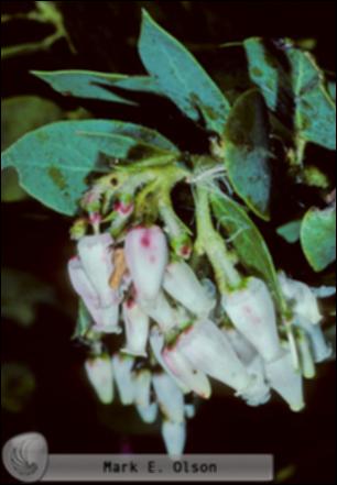 702.jpg.jpg