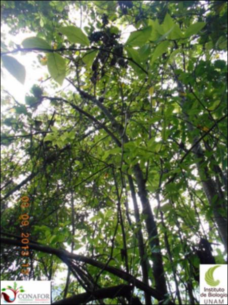 71541_S4_ARC_20130903_002_002.jpg.jpg