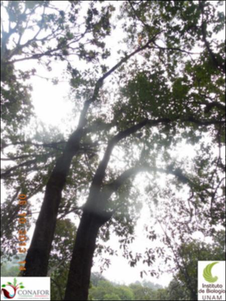 62842_S4_ARC_20131005_007_002.jpg.jpg