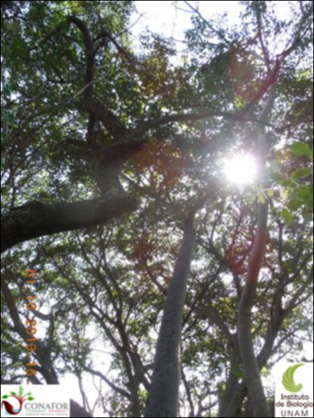 66964_S1_ARC_20131001_003_003.jpg.jpg