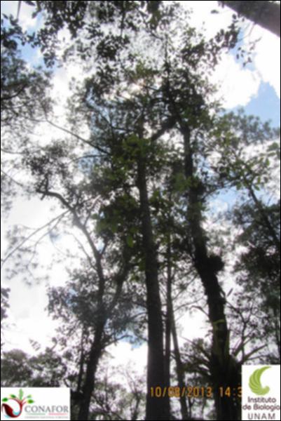 73078_S1_ARC_20130810_019_002.jpg.jpg