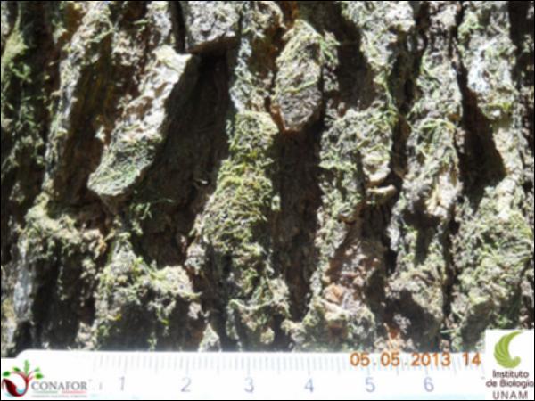 73568_S2_CRT_20130504_001_001.jpg.jpg