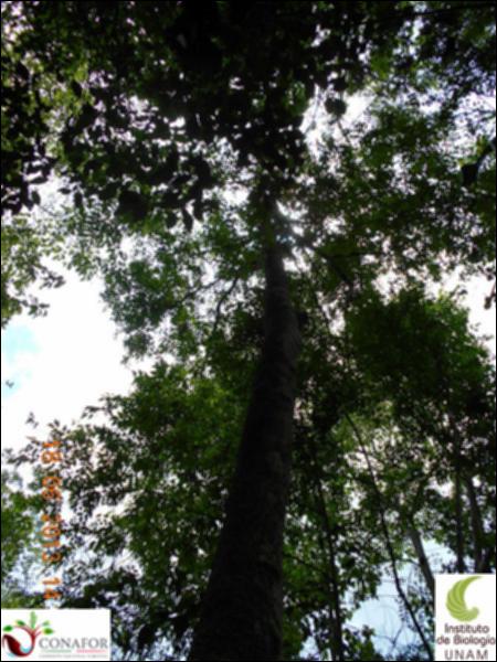 77277_S4_ARC_20130618_003_002.jpg.jpg