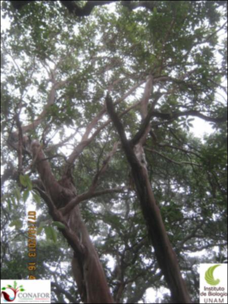 66080_S3_ARC_20131007_006_002.jpg.jpg