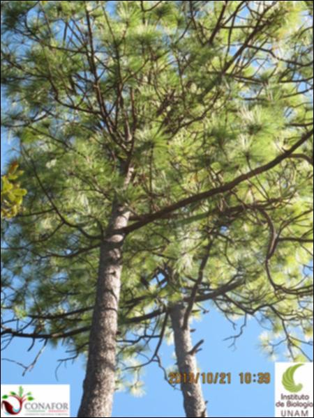 19274_S1_ARC_20131021_A004.jpg.jpg