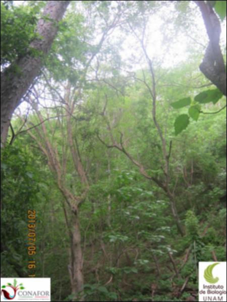 53120_S3_ARC_20130705_007.jpg.jpg