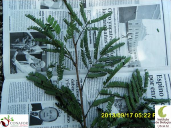 55418_S2_HJ2_20130717_012_001.jpg.jpg