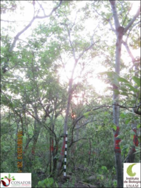 57976_S1_ARC_20130808_014.jpg.jpg